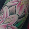 Lillies