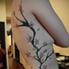 Blossom Side