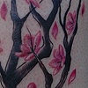 Blossoms