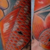 Koi