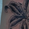 StarGazer
