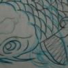Koi