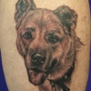 Ron Meyers - Dog Portrait on Linda 