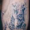 Ron Meyers - whitebuffalo