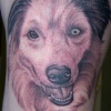 Ron Meyers - Dog Portrait on Tattoo Artist Tabari 