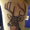 Ron meyers - Buck