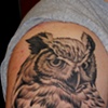 Ron Meyers - Owl (sleeve in progress)