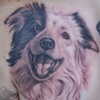 Ron Meyers - Dog Portrait2