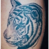Ron Meyers - tiger
