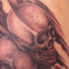 Skulls