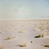 salt flats, spring 2008