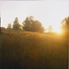 sunset with grasses