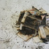 Erin Allen + James Bradley, Novus Taedium Seclorum  mixed media 2009 
