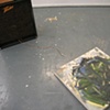 Erin Allen, 'Eastern Expansion/Aware of Failure, mixed media Instalation, with Sarah Denton and Travis Meinhoff' 2008