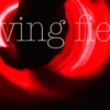 the living fields: [limited edition] interactive dvd