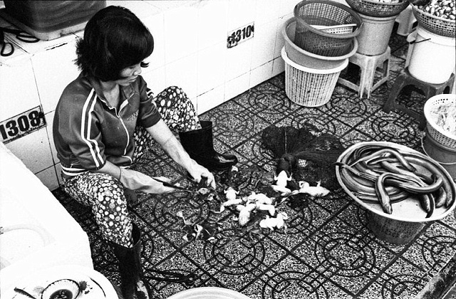 Woman prepares frogs at morning market.