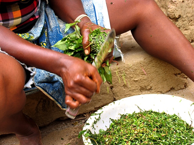 A woman prepares potato leaf for stewing.