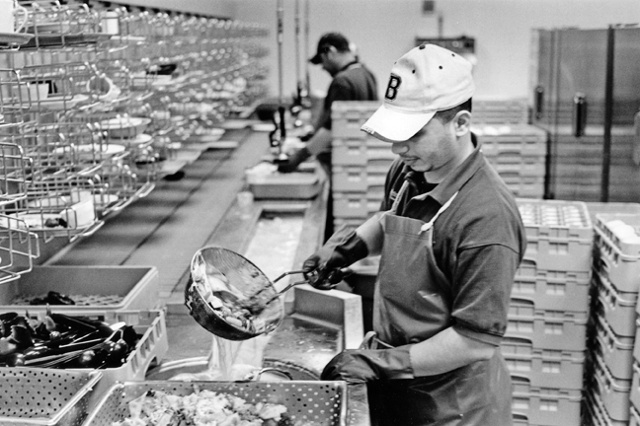 Steve washes dishes at Bates College.  He was an interpreter for the US army just months ago.