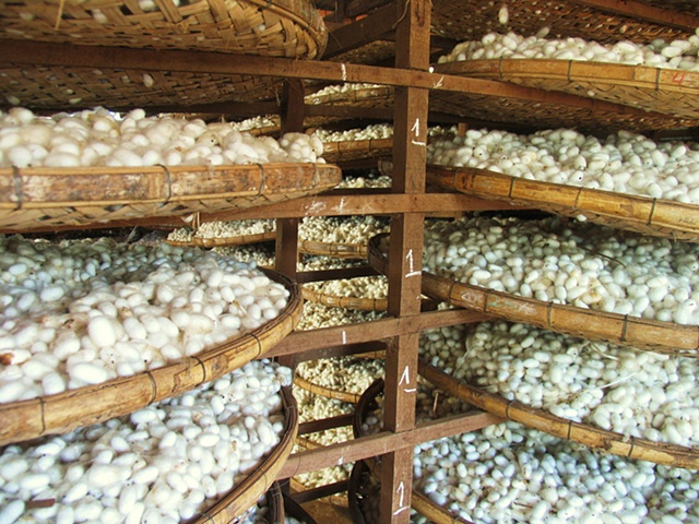 Silk production outside of Da Lat, Vietnam