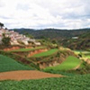 Graveyard and Fields outside of DaLat.