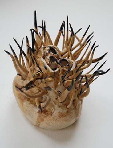 Phytolichen