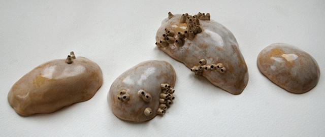 Lichen Milk Stones