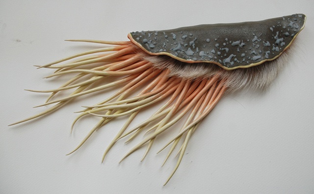 Cephalobug