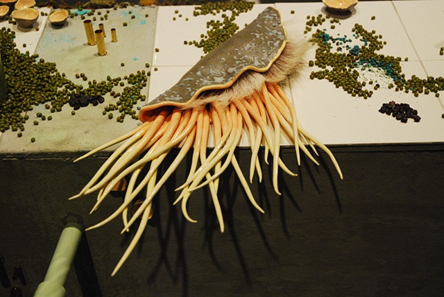 Installation Detail