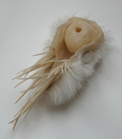 Cephalobug