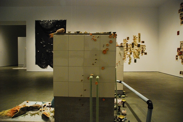 Installation Detail