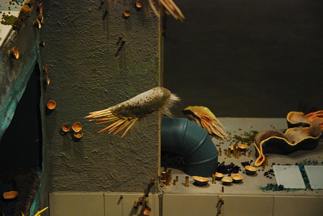 Installation Detail