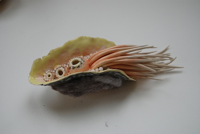 Cephalobug
