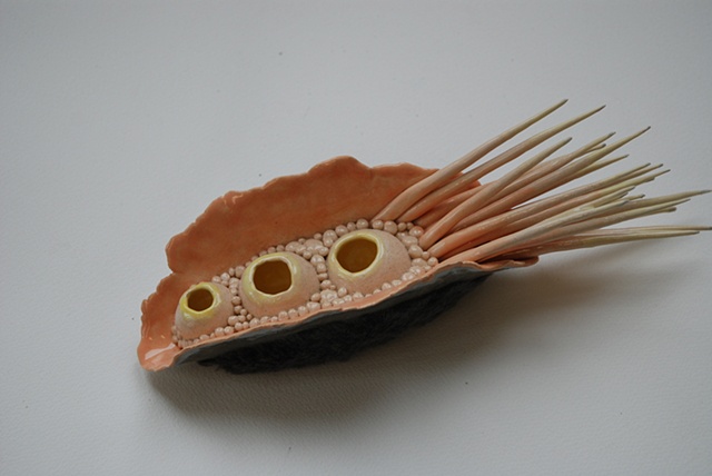 Cephalobug