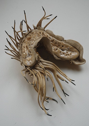 Cephalobug 
