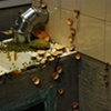 Installation Detail