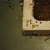 Installation Detail