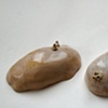 Lichen Milk Stones