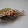 Cephalobug