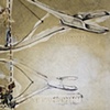 "Figure 37"