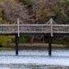 spring lake scape