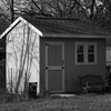 back yard scape