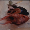 Red Snapper 