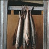 Fish Series