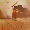 New York Desert - Detail