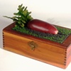 The Turnip Box
