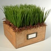 Plot Box