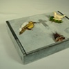 Bird Mojo Box