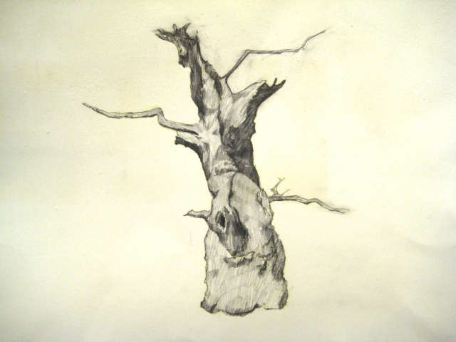 tree4