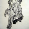 tree2