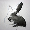 March 10, 2010: On Rabbits as Food"